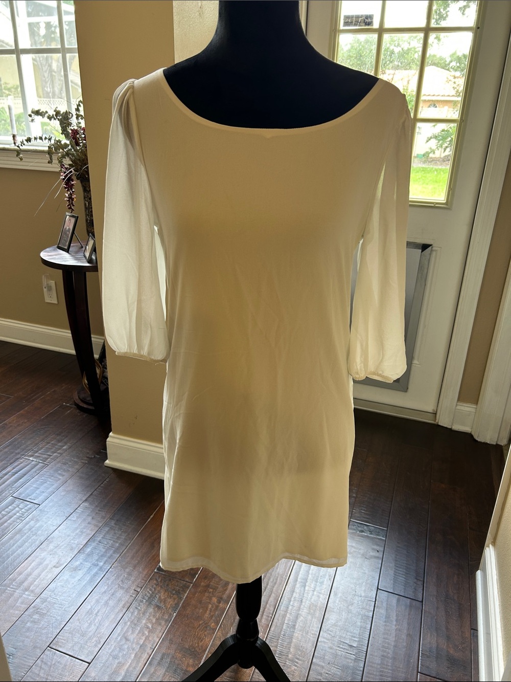Sage Cream Mini Dress with Sheer Three-Quarter Sleeves